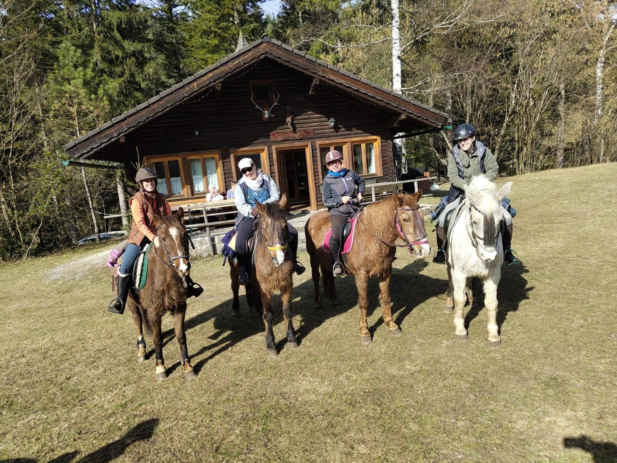 Sankt Aegyd am Neuwalde Reiterbauernhof Mahoヴィラ エクステリア 写真
