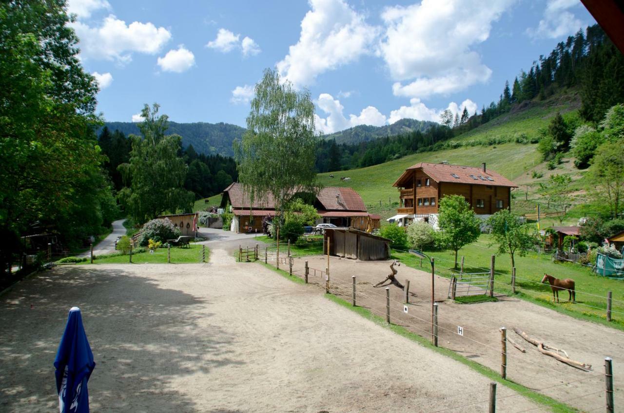 Sankt Aegyd am Neuwalde Reiterbauernhof Mahoヴィラ エクステリア 写真